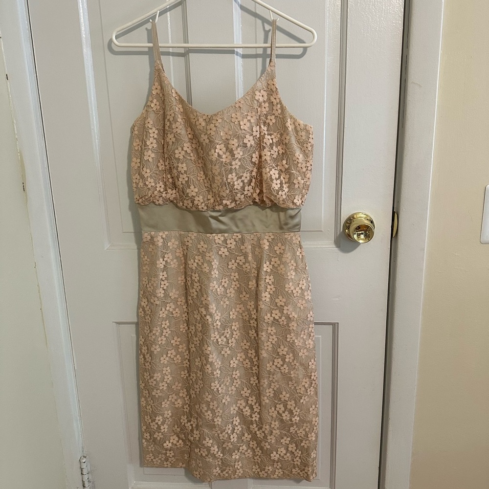 Elegant Lace Overlay Dress in Pink and Cream